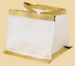 ������ ������� ������� (�������)