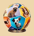 ����-��� ��� ����� (60 ���������)