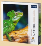 ���� ������� (1000 ���������)