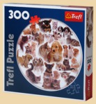 ���� ���� ������� (300 ���������)